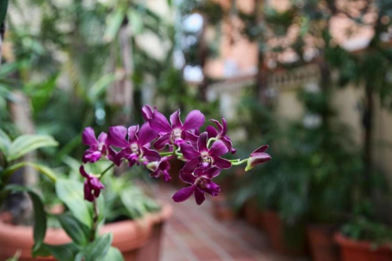 Bposhtels San Juan Hostel ภายนอก รูปภาพ